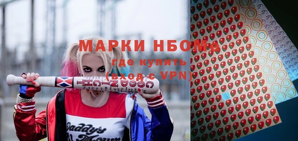 индика Ладушкин