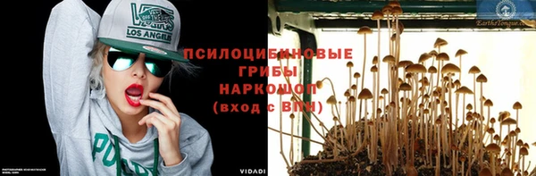 ешки Майский