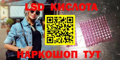 spice Владимир