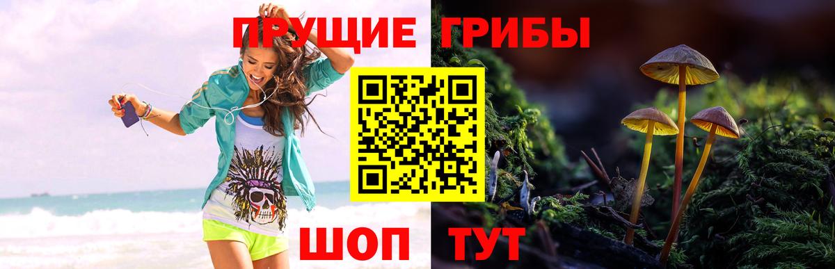 Галлюциногенные грибы Cubensis  Галлюциногенные грибы MAGIC MUSHROOMS  Вход с VPN  Тейково 