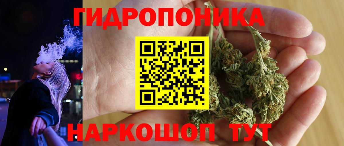 Каннабис семена  Бошки Шишки гибрид  Вход с VPN  Тейково  Каннабис AK-47 